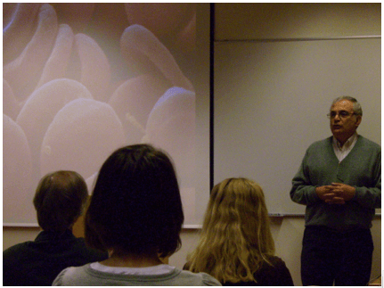 Captura de pantalla 2012-07-10 a la(s) 13.09.15